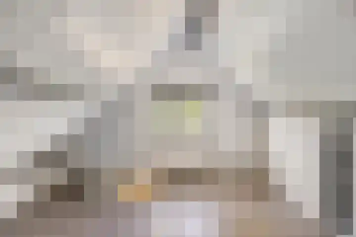 Waalbandijk 20 Gameren thumbnail 20