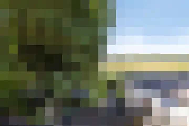 Waalbandijk 20 Gameren thumbnail 22