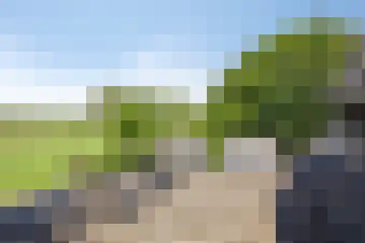 Waalbandijk 20 Gameren thumbnail 23