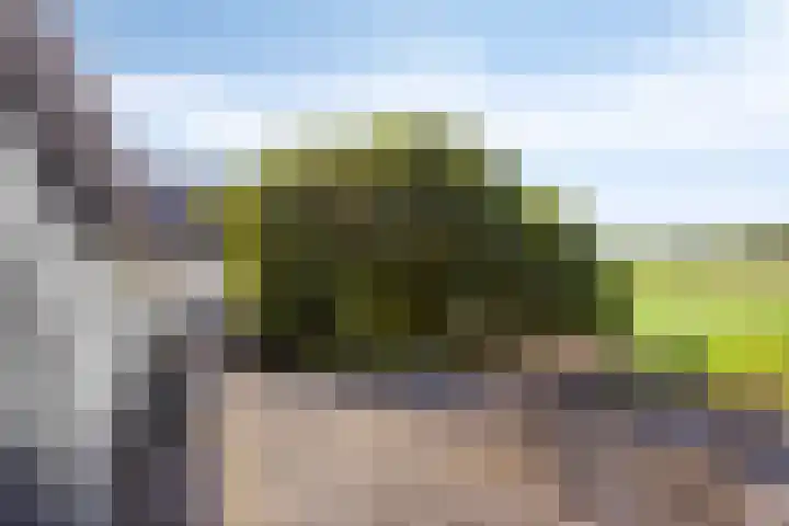 Waalbandijk 20 Gameren thumbnail 24