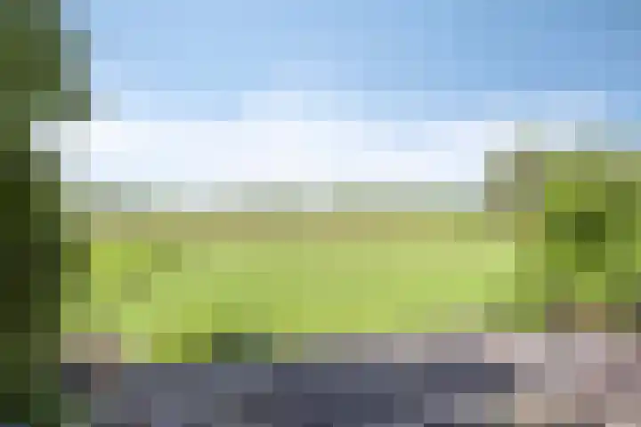 Waalbandijk 20 Gameren thumbnail 25