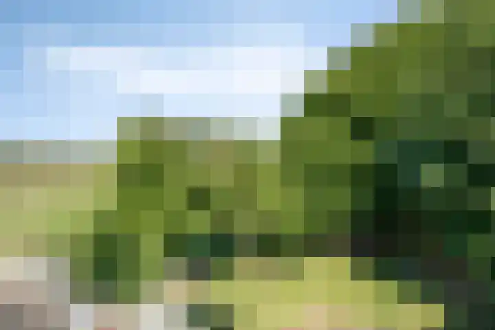 Waalbandijk 20 Gameren thumbnail 26