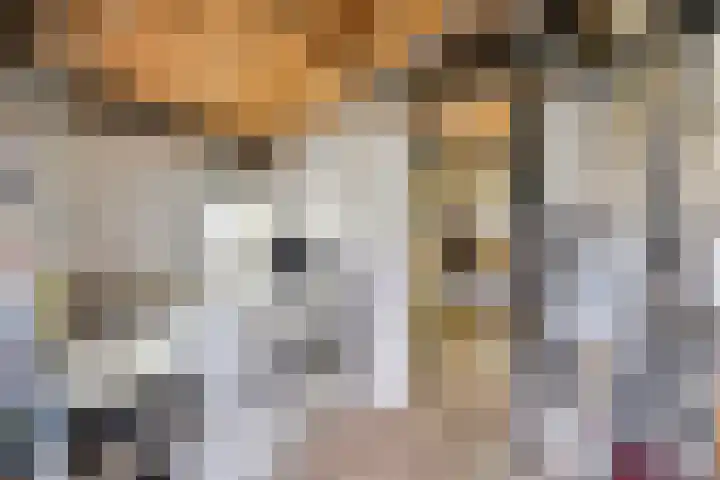 Waalbandijk 20 Gameren thumbnail 31