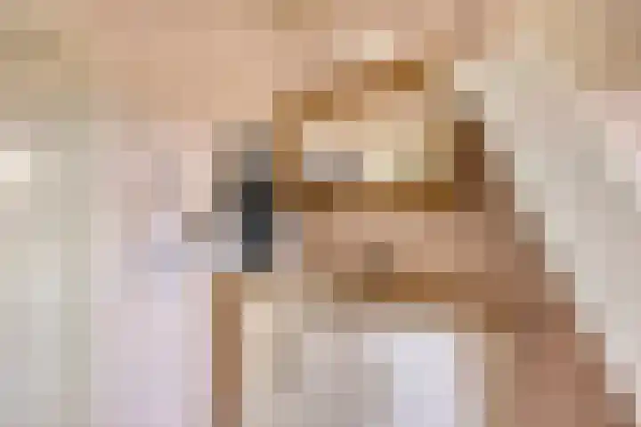 Waalbandijk 20 Gameren thumbnail 34