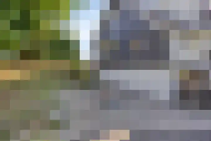 Waalbandijk 20 Gameren thumbnail 35