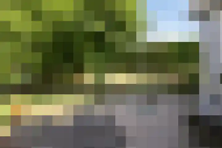 Waalbandijk 20 Gameren thumbnail 36
