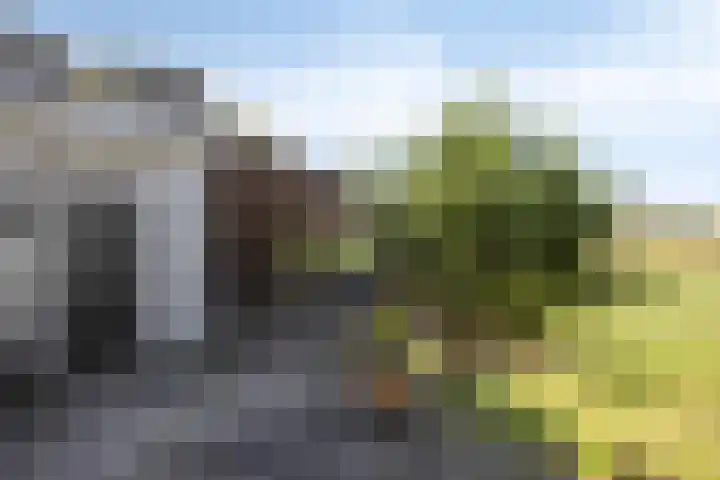 Waalbandijk 20 Gameren thumbnail 37
