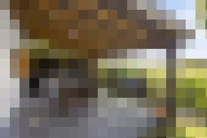 Waalbandijk 20 Gameren thumbnail 38