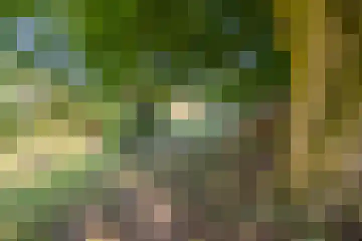 Waalbandijk 20 Gameren thumbnail 41