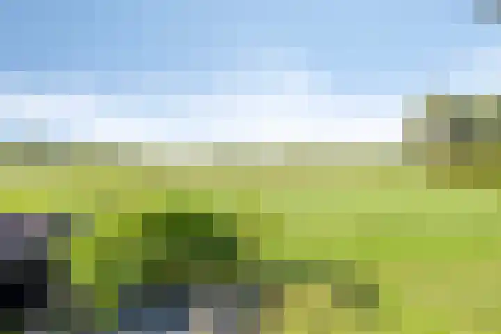 Waalbandijk 20 Gameren thumbnail 42