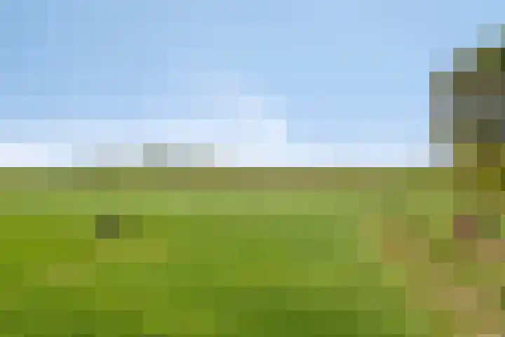 Waalbandijk 20 Gameren thumbnail 43