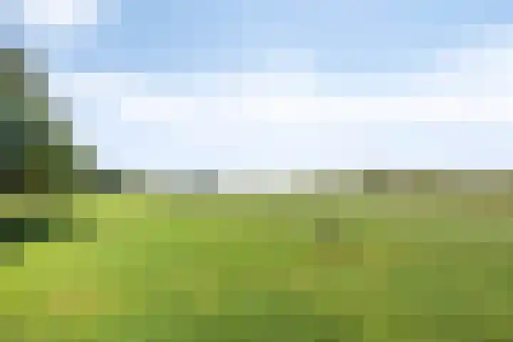 Waalbandijk 20 Gameren thumbnail 44