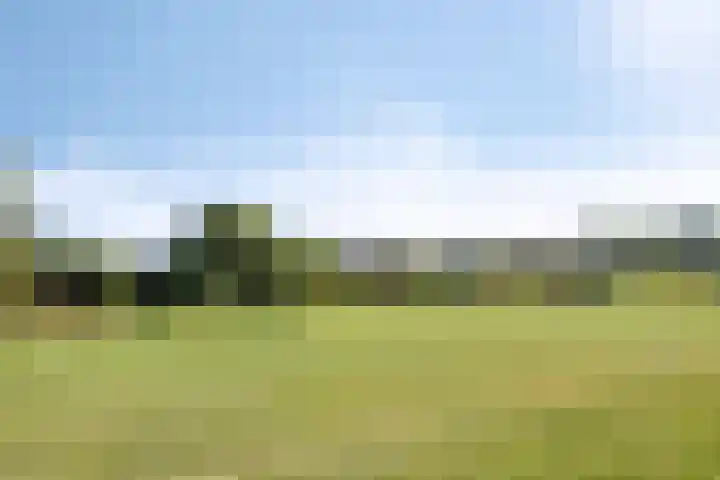 Waalbandijk 20 Gameren thumbnail 45