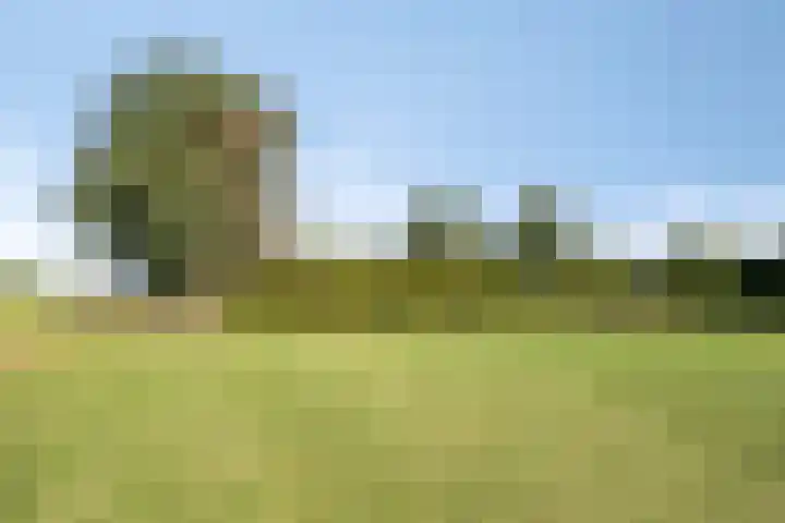 Waalbandijk 20 Gameren thumbnail 46