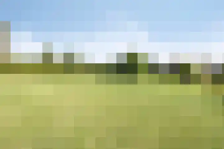 Waalbandijk 20 Gameren thumbnail 47