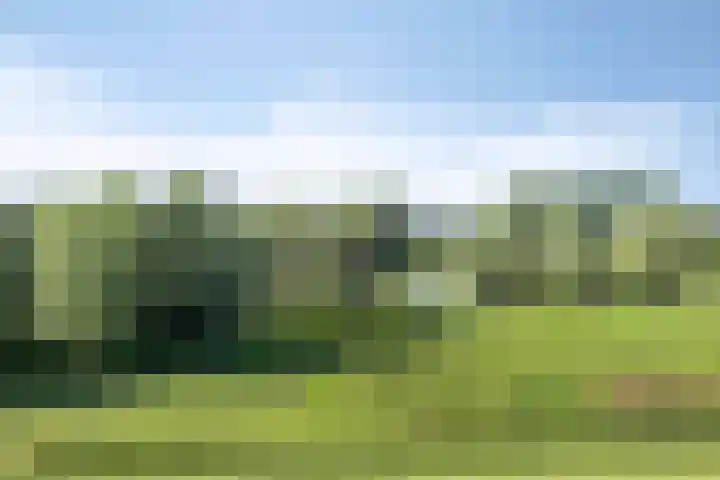 Waalbandijk 20 Gameren thumbnail 49