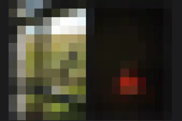 Waalbandijk 21 Neerijnen thumbnail 15