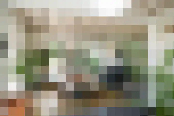 Waalbandijk 21 Neerijnen thumbnail 16