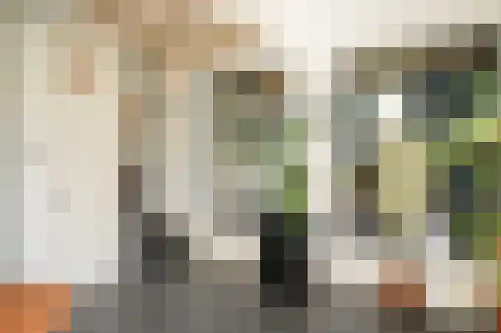 Waalbandijk 21 Neerijnen thumbnail 21