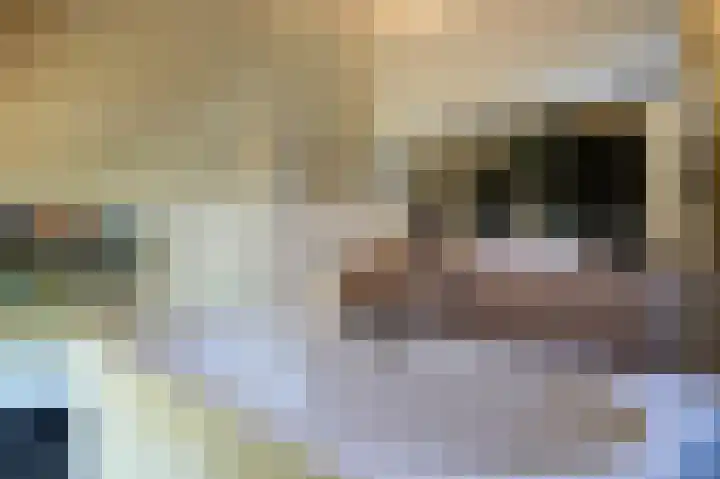 Waalbandijk 21 Neerijnen thumbnail 34