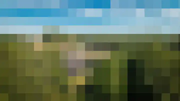 Waalbandijk 21 Neerijnen thumbnail 4