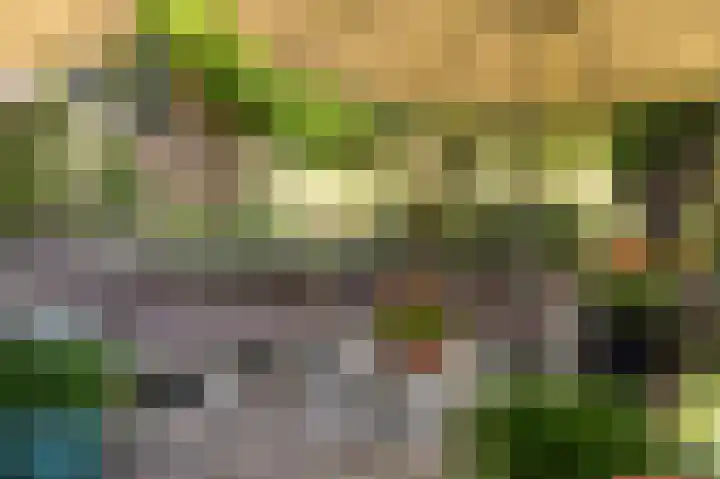 Waalbandijk 21 Neerijnen thumbnail 41