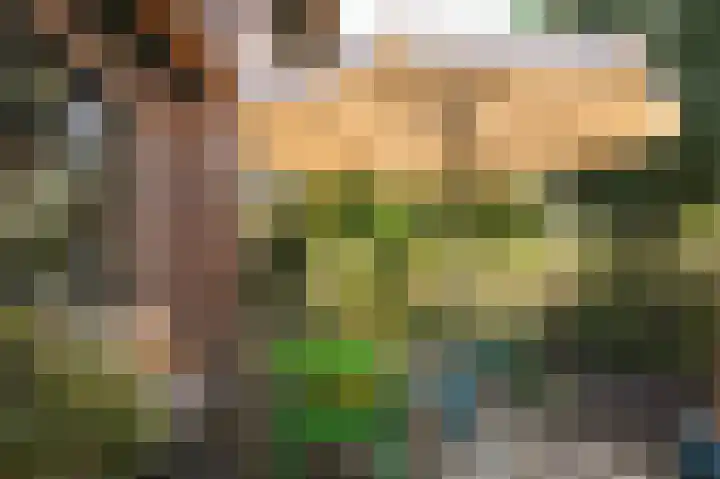 Waalbandijk 21 Neerijnen thumbnail 42