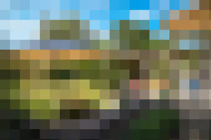 Waalbandijk 21 Neerijnen thumbnail 43