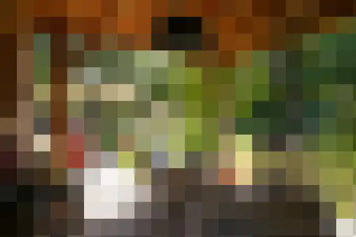 Waalbandijk 21 Neerijnen thumbnail 45