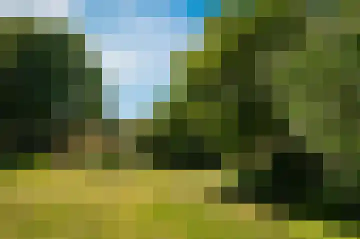 Waalbandijk 21 Neerijnen thumbnail 47
