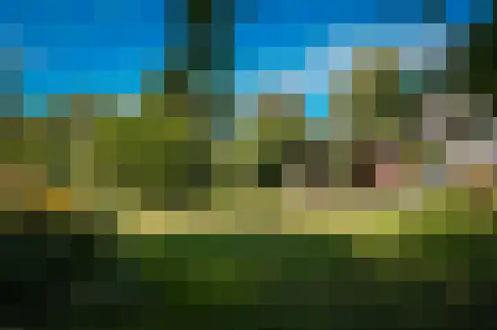 Waalbandijk 21 Neerijnen thumbnail 48