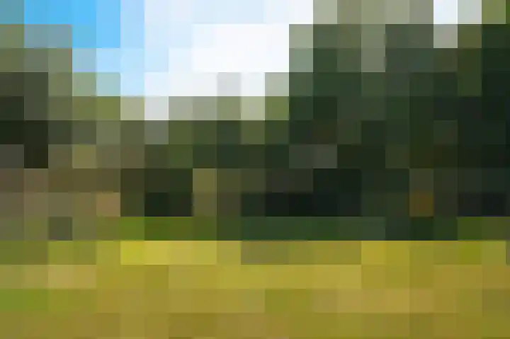 Waalbandijk 21 Neerijnen thumbnail 49