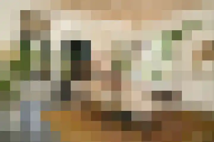 Waalbandijk 21 Neerijnen thumbnail 5
