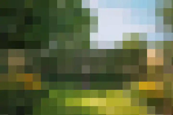 Waalbandijk 21 Neerijnen thumbnail 50