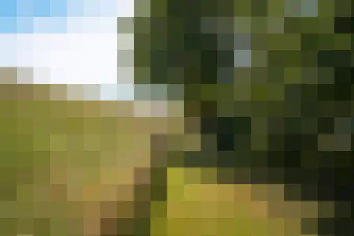 Waalbandijk 21 Neerijnen thumbnail 51