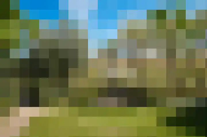 Waalbandijk 21 Neerijnen thumbnail 52