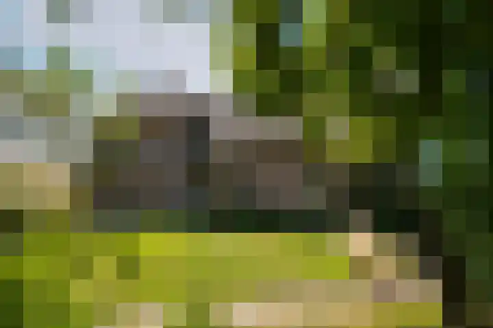 Waalbandijk 21 Neerijnen thumbnail 53