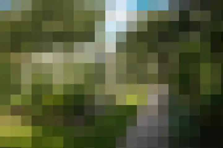 Waalbandijk 21 Neerijnen thumbnail 54