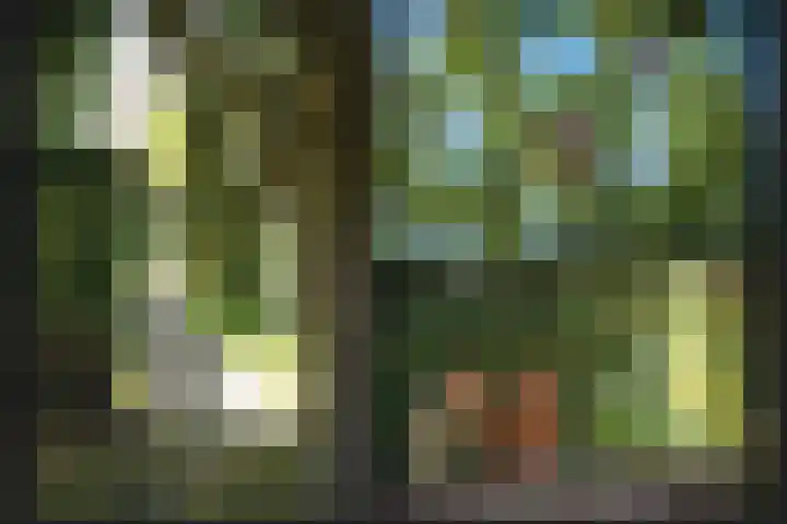 Waalbandijk 21 Neerijnen thumbnail 56