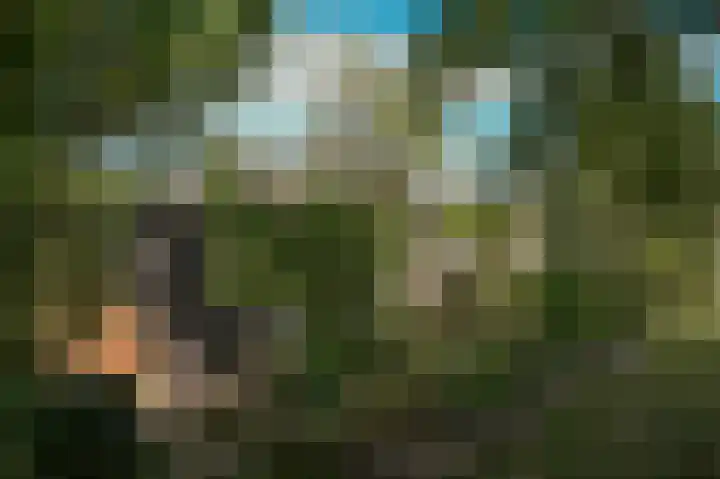 Waalbandijk 21 Neerijnen thumbnail 57