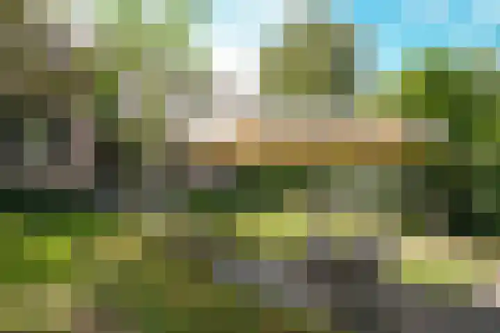 Waalbandijk 21 Neerijnen thumbnail 58