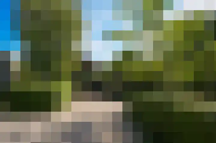 Waalbandijk 21 Neerijnen thumbnail 61