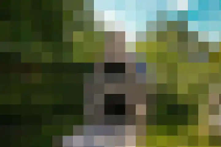 Waalbandijk 21 Neerijnen thumbnail 63