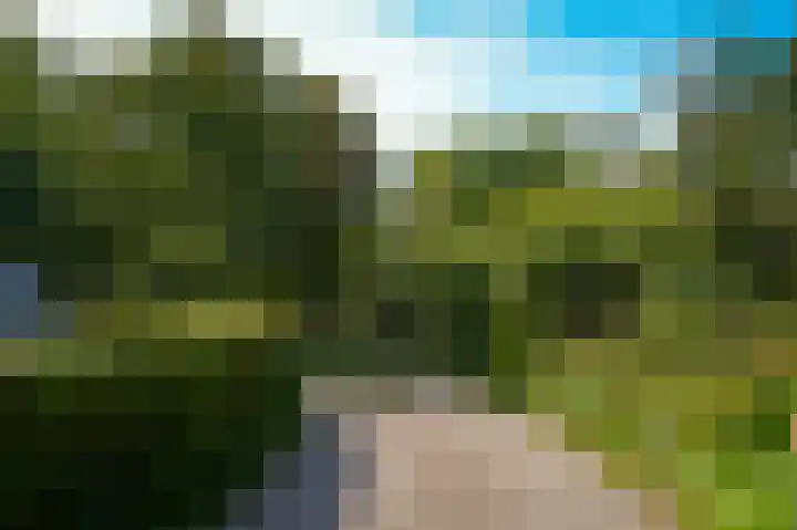 Waalbandijk 21 Neerijnen thumbnail 64