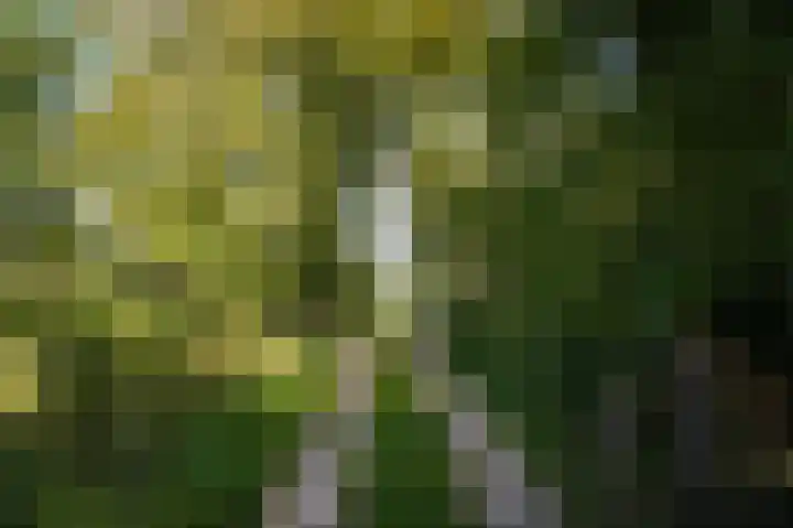 Waalbandijk 21 Neerijnen thumbnail 65