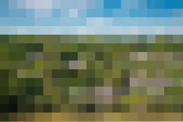 Waalbandijk 21 Neerijnen thumbnail 66