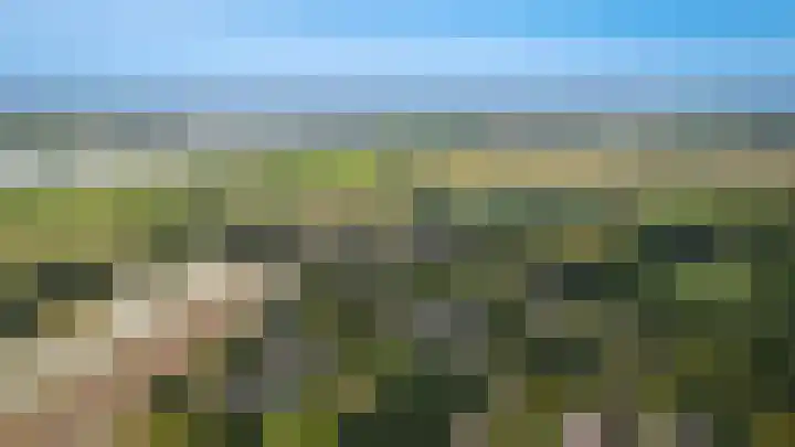 Waalbandijk 21 Neerijnen thumbnail 68