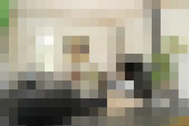 Waalbandijk 21 Neerijnen thumbnail 7