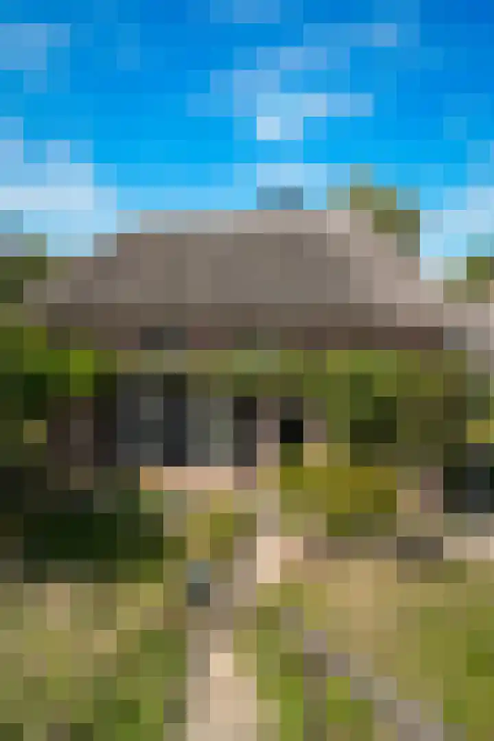 Waalbandijk 21 Neerijnen thumbnail 72