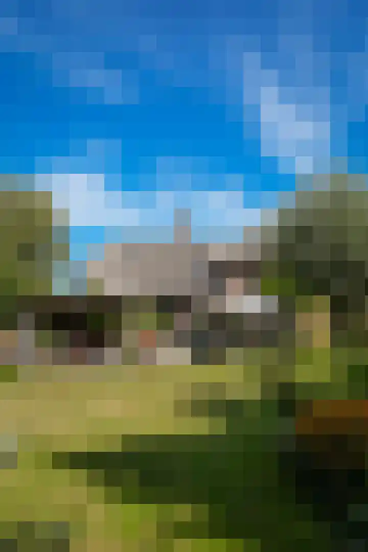 Waalbandijk 21 Neerijnen thumbnail 73